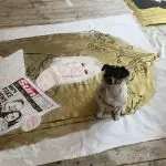 Trixie sits on an unfinished banner of Sam Fox. Sam is surronded by gold paint and is holding a copy of The Sun which says Lies! Lies! Lies! Lies! More fake news from The Scum!